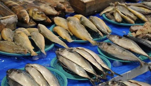 新一輪漲價(jià)潮來襲 從油價(jià)到餐桌，水產(chǎn)品價(jià)格牽動(dòng)民生