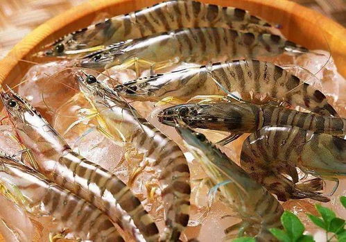 西安農(nóng)貿(mào)市場全面禁售進(jìn)口水產(chǎn)凍貨，商戶簽訂承諾書力保食品安全